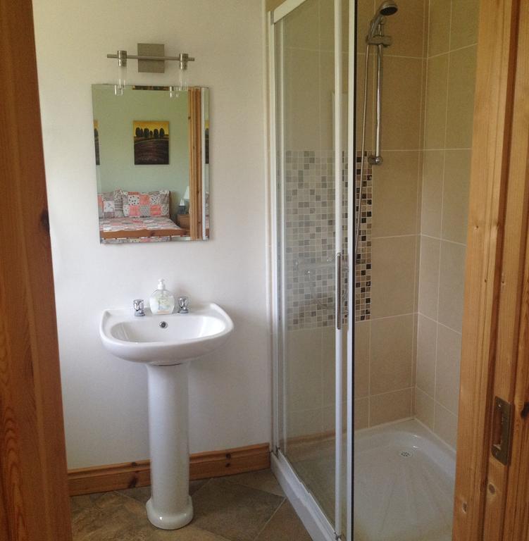 Ballyfarnon Amber B&B الغرفة الصورة