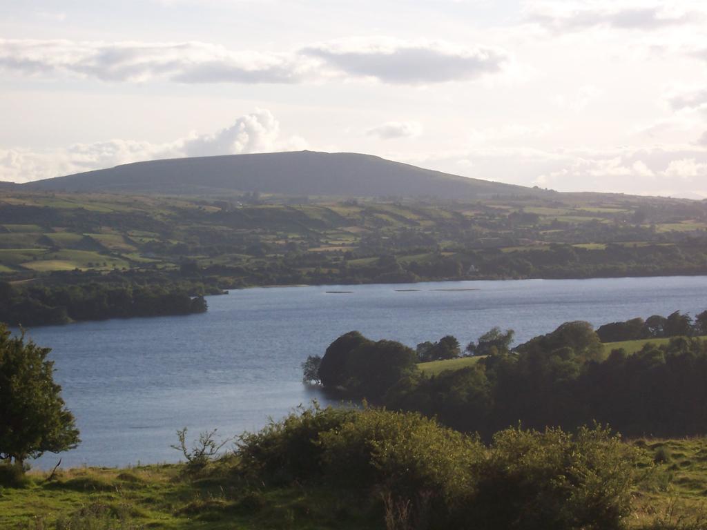 Ballyfarnon Amber B&B المظهر الخارجي الصورة